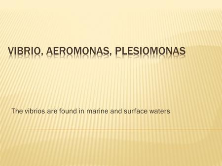 The vibrios are found in marine and surface waters.