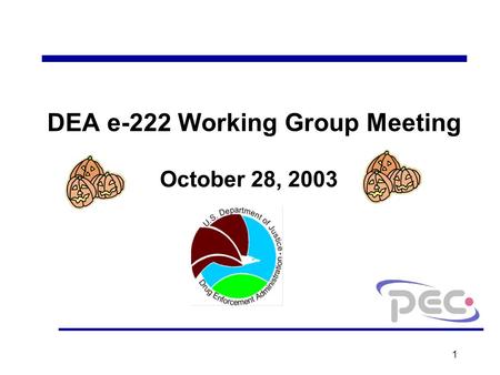 1 DEA e-222 Working Group Meeting October 28, 2003.