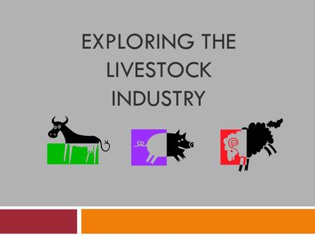 EXPLORING THE LIVESTOCK INDUSTRY. Interest Approach  Ask the students to name all of the things they eat or use that come from the beef, swine, or sheep.