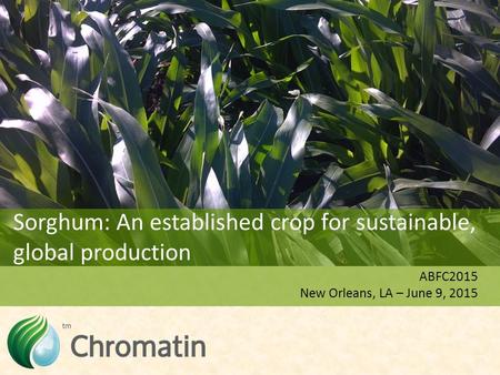 ABFC2015 New Orleans, LA – June 9, 2015 Sorghum: An established crop for sustainable, global production.