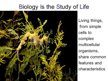 Biology Is the Study of Life Living things, from simple cells to complex multicellular organisms, share common features and characteristics.
