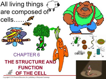 Copyright © 2003 Pearson Education, Inc. publishing as Benjamin Cummings CHAPTER 6 THE STRUCTURE AND FUNCTION OF THE CELL All living things are composed.