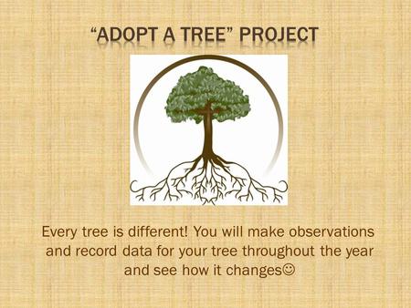 “Adopt A Tree” Project Every tree is different! You will make observations and record data for your tree throughout the year and see how it changes