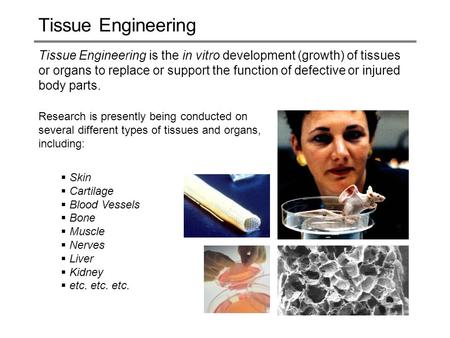 Tissue Engineering Tissue Engineering is the in vitro development (growth) of tissues or organs to replace or support the function of defective or injured.