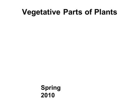 Vegetative Parts of Plants Spring 2010. Descriptive Terminology LEARN DESCRIPTIVE TERMINOLOGY = PHYTOGRAPHY - Vegetative - Floral/inflorescence - Fruit.