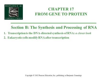 CHAPTER 17 FROM GENE TO PROTEIN Copyright © 2002 Pearson Education, Inc., publishing as Benjamin Cummings Section B: The Synthesis and Processing of RNA.