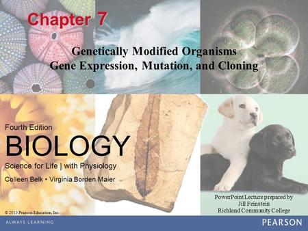 Genetically Modified Organisms Gene Expression, Mutation, and Cloning