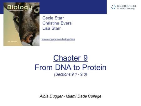 Albia Dugger Miami Dade College Cecie Starr Christine Evers Lisa Starr www.cengage.com/biology/starr Chapter 9 From DNA to Protein (Sections 9.1 - 9.3)