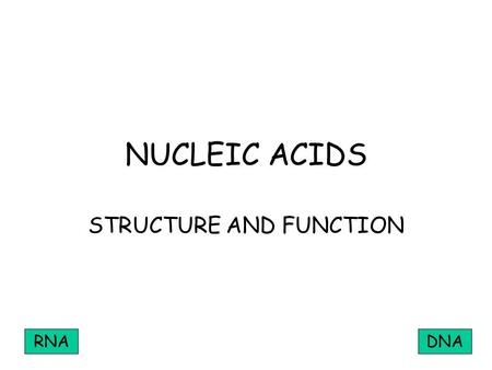 NUCLEIC ACIDS STRUCTURE AND FUNCTION RNADNA. MONONUCLEOTIDE PHOSPHATE PENTOSE SUGAR ORGANIC BASE.