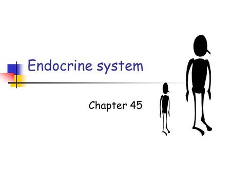 Endocrine system Chapter 45. Endocrine system Regulation & communication Blood system Glands (ductless) Hormones (chemicals) Target tissues.