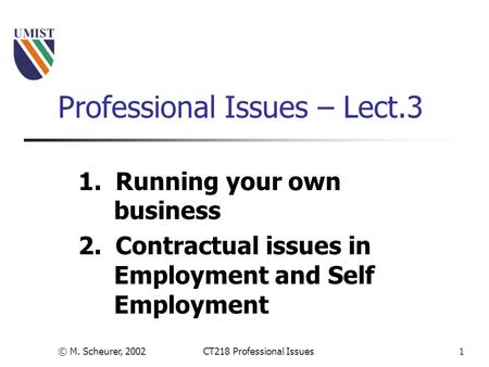 © M. Scheurer, 2002CT218 Professional Issues1 Professional Issues – Lect.3 1. Running your own business 2. Contractual issues in Employment and Self Employment.