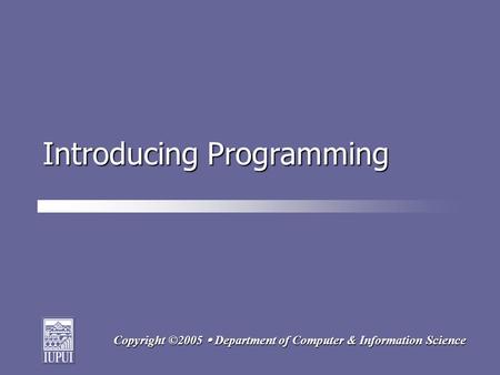 Copyright ©2005  Department of Computer & Information Science Introducing Programming.