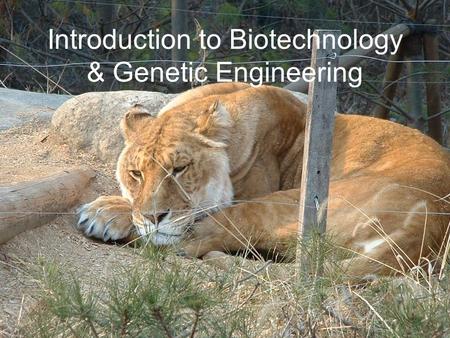 Introduction to Biotechnology & Genetic Engineering