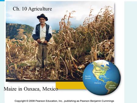 Copyright © 2008 Pearson Education, Inc., publishing as Pearson Benjamin Cummings 10_00-CS.JPG Maize in Oaxaca, Mexico Ch. 10 Agriculture.