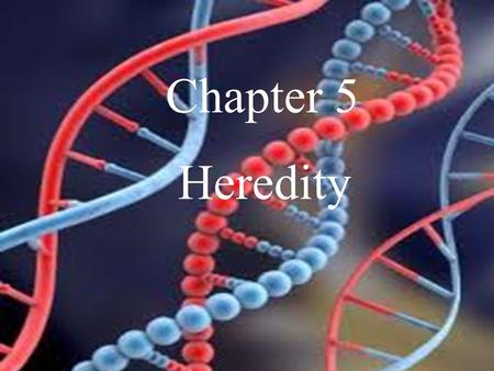 Chapter 5 Heredity.