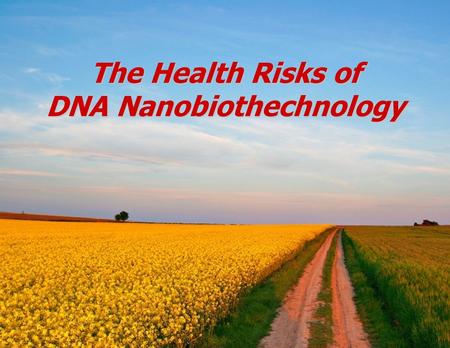 The Health Risks of DNA Nanobiothechnology. US GM crops Soy 94% Corn 88% Cotton 93% Canola 90% (Canada) Sugar beets 95% Alfalfa (hay, not sprouts) ?%