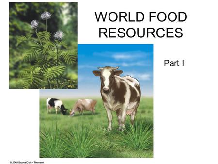 WORLD FOOD RESOURCES Part I. Food Resources Approximately 15 plant and 8 animal species. Three main cash crops: 1. wheat 2. rice 3. corn Grown by Industrialized.