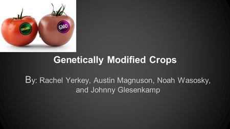 Genetically Modified Crops B y: Rachel Yerkey, Austin Magnuson, Noah Wasosky, and Johnny Glesenkamp.