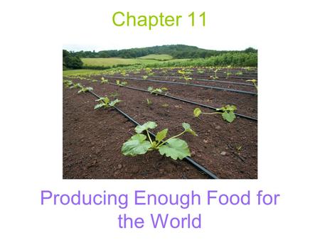 Producing Enough Food for the World