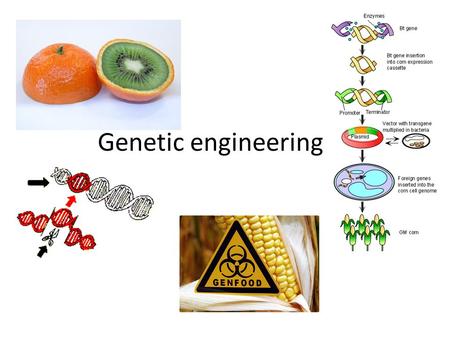 Genetic engineering. Genetic modification