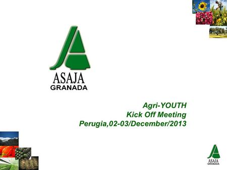 Agri-YOUTH Kick Off Meeting Perugia,02-03/December/2013.