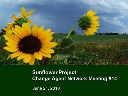 1 Sunflower Project Change Agent Network Meeting #14 June 21, 2010.