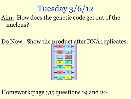 Tuesday 3/6/12 Aim: How does the genetic code get out of the nucleus? Do Now: Show the product after DNA replicates: Homework:page 315 questions 19 and.