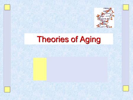 Theories of Aging. Copyright ©2010 by Pearson Education, Inc. Upper Saddle River, New Jersey 07458 All rights reserved. Gerontological Nursing, Second.