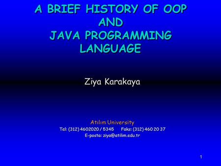 A BRIEF HISTORY OF OOP AND JAVA PROGRAMMING LANGUAGE
