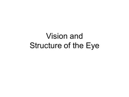 Vision and Structure of the Eye