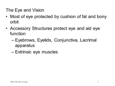 The Eye and Vision Most of eye protected by cushion of fat and bony orbit Accessory Structures protect eye and aid eye function Eyebrows, Eyelids, Conjunctiva,