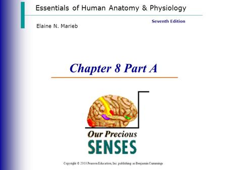 Chapter 8 Part A Vision Essentials of Human Anatomy & Physiology