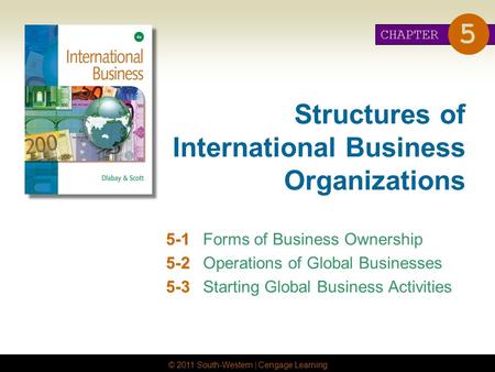 Structures of International Business Organizations
