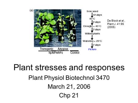 Plant stresses and responses
