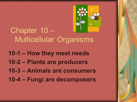 Chapter 10 – Multicellular Organisms 10-1 – How they meet needs 10-2 – Plants are producers 10-3 – Animals are consumers 10-4 – Fungi are decomposers.