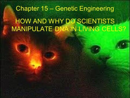 Chapter 15 – Genetic Engineering