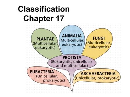 Classification Chapter 17. Why classify organisms? currently there are 1.5 million known species of living things.
