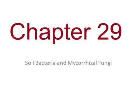 Chapter 29 Soil Bacteria and Mycorrhizal Fungi. Concept 29.3: Plants roots absorb essential elements from the soil Water, air, and soil minerals contribute.