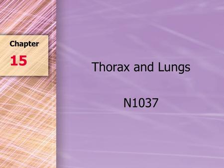 Thorax and Lungs N1037 Chapter 15. A & P of Thorax Thorax Pleura –Parietal = external surface –Visceral = internal surface Mediastinum or interpleural.