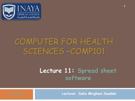 COMPUTER FOR HEALTH SCIENCES –COMP101 Lecture 11 : Spread sheet software Excel.02 1 Lecturer.Dalia Mirghani Saadabi.
