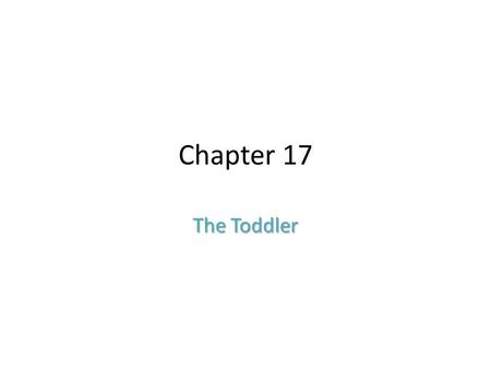 Chapter 17 The Toddler.