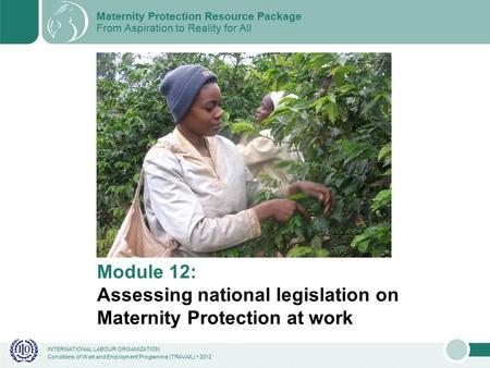 INTERNATIONAL LABOUR ORGANIZATION Conditions of Work and Employment Programme (TRAVAIL) 2012 Module 12: Assessing national legislation on Maternity Protection.