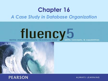 Chapter 16 A Case Study in Database Organization.