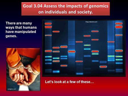 Goal 3.04 Assess the impacts of genomics on individuals and society. scrapetv.com blog.makezine.com There are many ways that humans have manipulated genes.