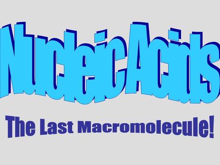 The Last Macromolecule!