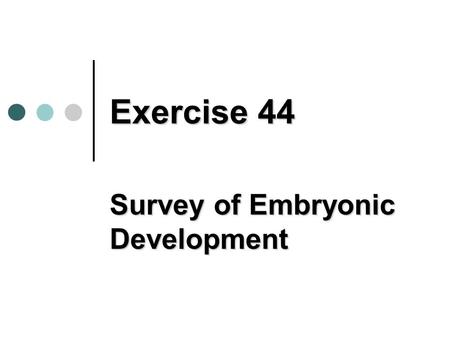 Survey of Embryonic Development