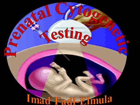 Prenatal Cytogenetic Testing Imad Fadl-Elmula.