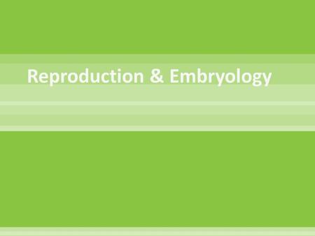 Reproduction & Embryology