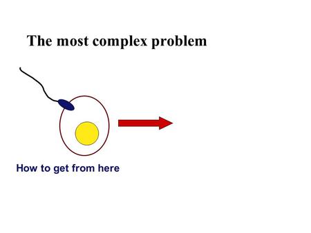 The most complex problem