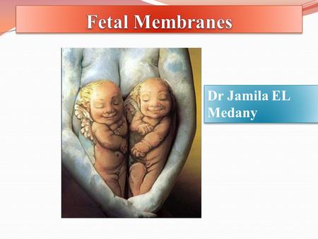 Dr Jamila EL Medany. By the end of the lecture the student should be able to: List the components of the fetal membranes. Describe the stages of development.